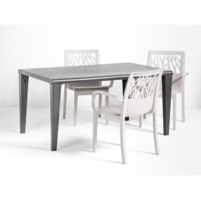 Table ALPHA Grosfillex 150x90cm Anthracite sièges VEGETAL